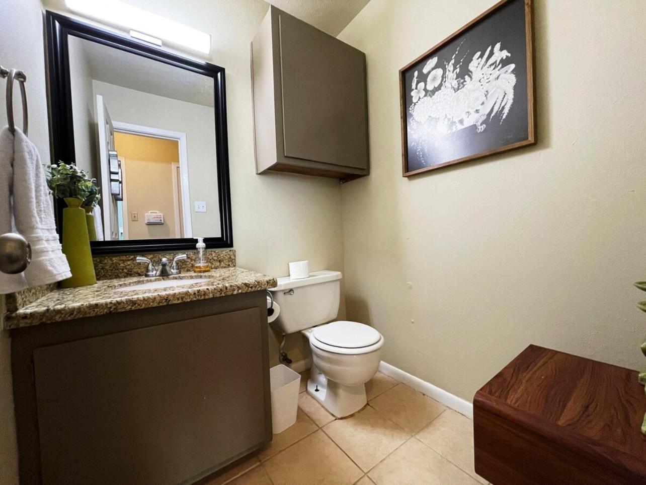 Brilliant & Beautiful Apartment! B College Station